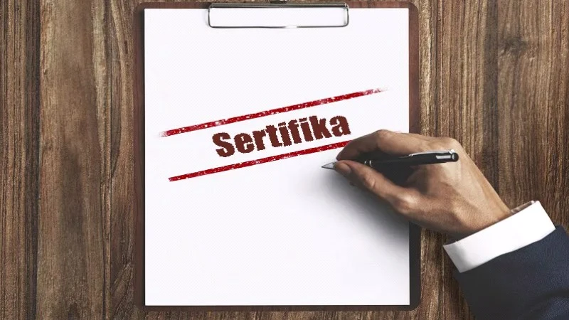 İş Garantili Sertifika Programları Nelerdir?