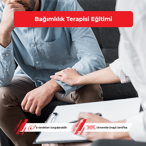 Bağımlılık Terapisi Eğitimi