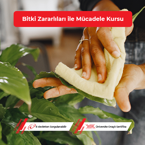 Bitki Zararlıları ile Mücadele Eğitimi