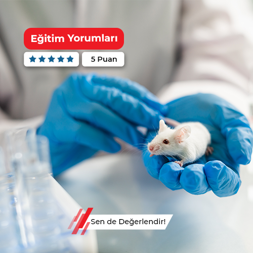Deney Hayvanları Kullanım Sertifikası Kursu