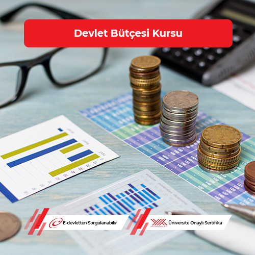 Devlet Bütçesi Eğitimi