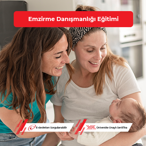 Emzirme Danışmanlığı Eğitimi