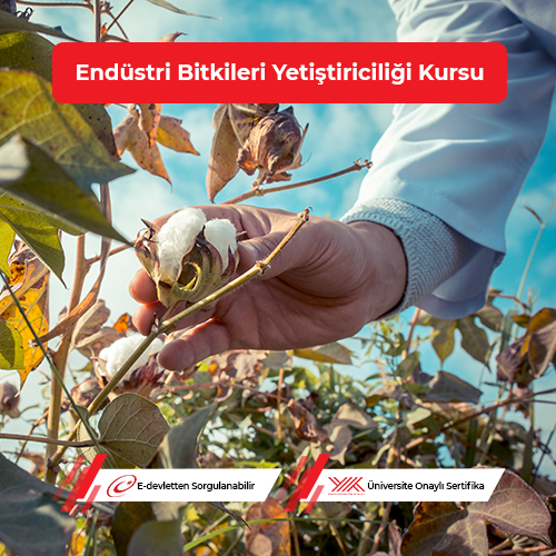 Endüstri Bitkileri Yetiştiriciliği Eğitimi