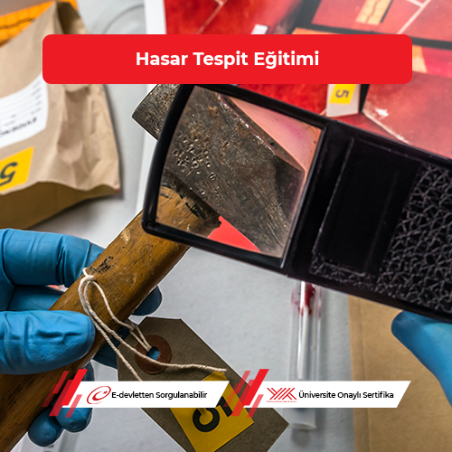 Hasar Tespit Eğitimi