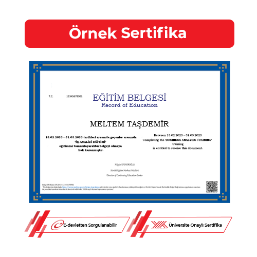 İş Analizi Sertifikası