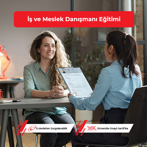 İş ve Meslek Danışmanı Eğitimi 