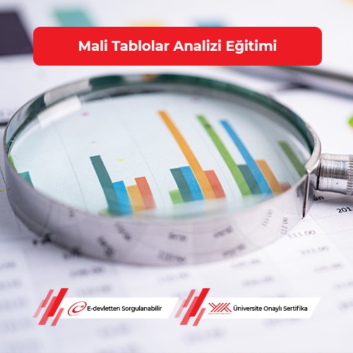 Mali Tablolar Analizi Eğitimi