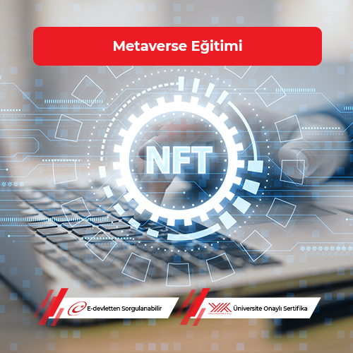 Metaverse Eğitimi