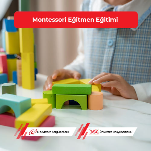 Montessori Eğitmen Eğitimi 