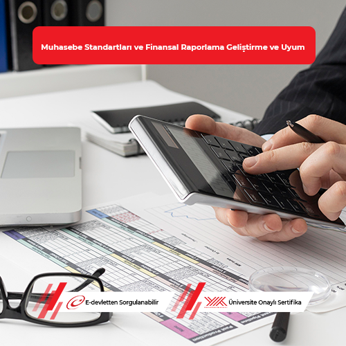 Muhasebe Standartları ve Finansal Raporlama Geliştirme ve Uyum Eğitimi