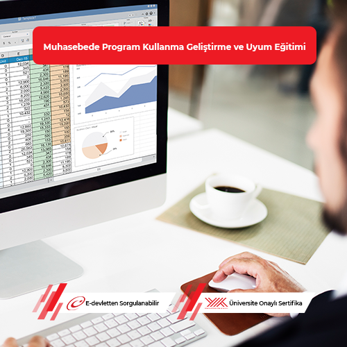 Muhasebede Modüler Tabanlı Program Kullanma Geliştirme ve Uyum Eğitimi 