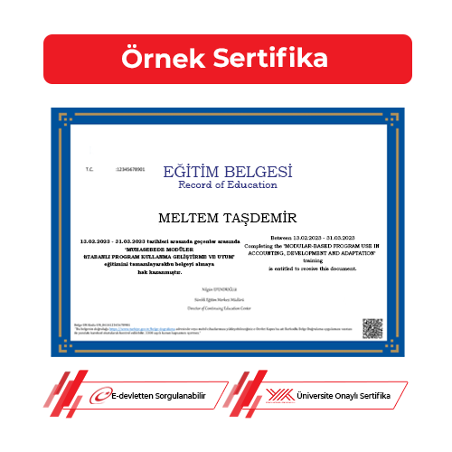 Muhasebede Modüler Tabanlı Program Kullanma Geliştirme ve Uyum Sertifikası