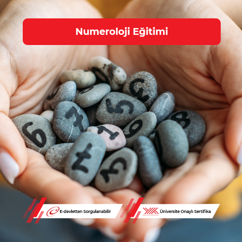 Numeroloji Eğitimi