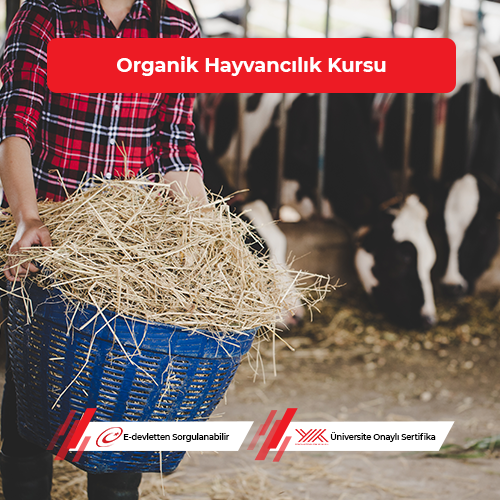 Organik Hayvancılık Eğitimi