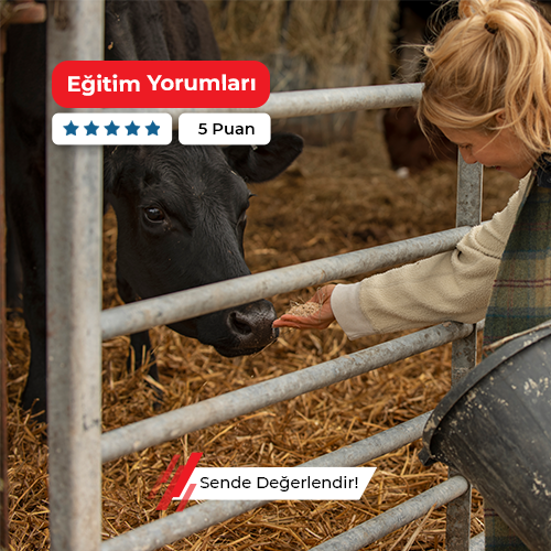 Organik Hayvancılık Kursu