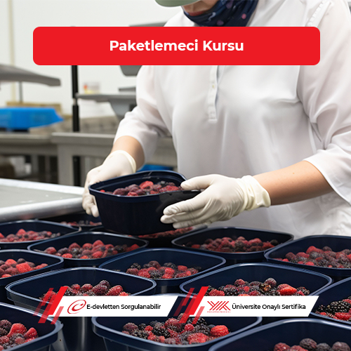 Paketlemeci Eğitimi