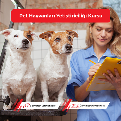 Pet Hayvanları Yetiştiriciliği Eğitimi