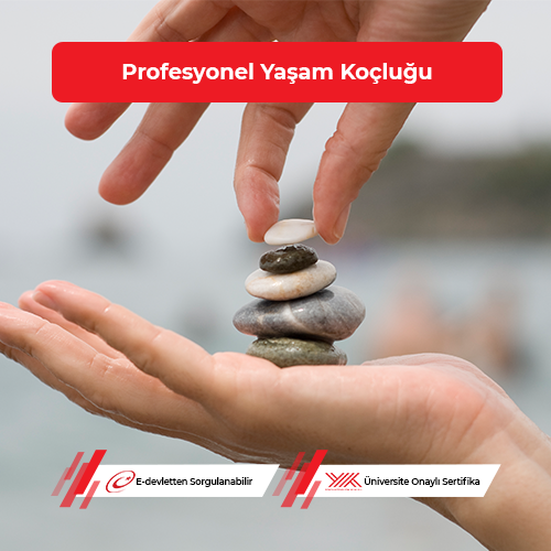 Profesyonel Yaşam Koçluğu Eğitimi