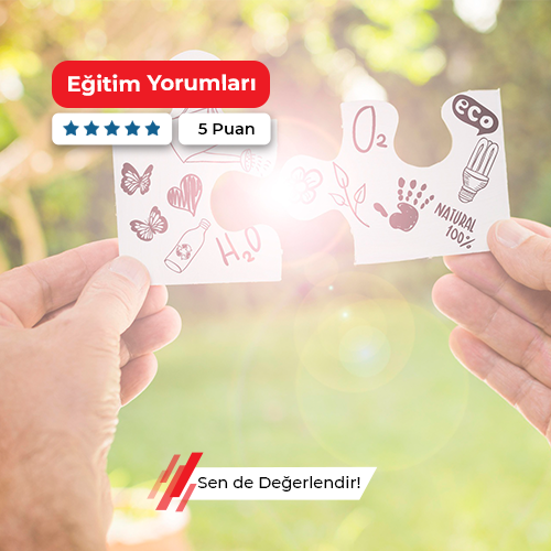 Profesyonel Yaşam Koçluğu Kursu