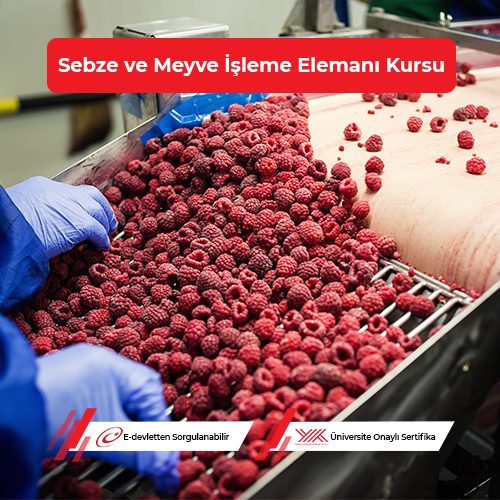 Sebze ve Meyve İşleme Elemanı Eğitimi