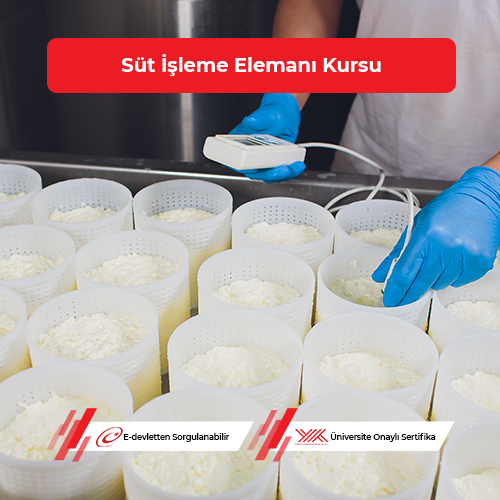 Süt İşleme Elemanı Eğitimi