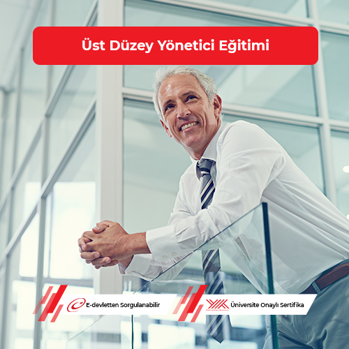 Üst Düzey Yönetici Eğitimi
