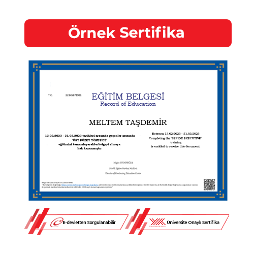 Üst Düzey Yönetici Sertifikası