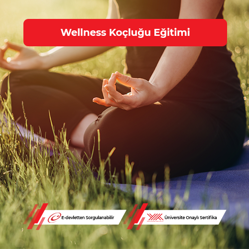 Wellness Koçluğu Eğitimi