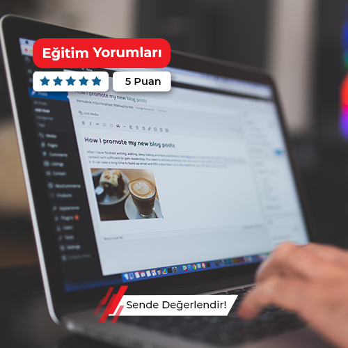 WordPress Kursu
