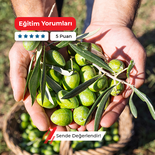 Zeytin Yetiştiriciliği Eğitimi