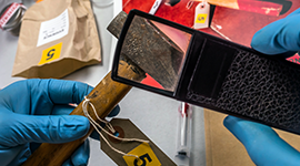 Hasar Tespit Eğitimi