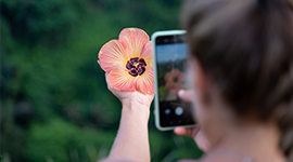 Mobil Fotoğrafçılık Eğitimi