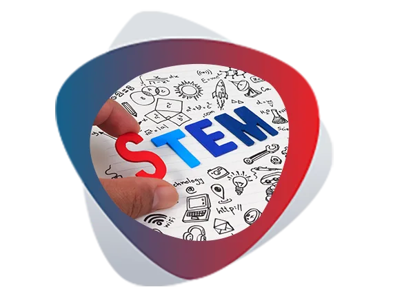 Stem Eğitimi